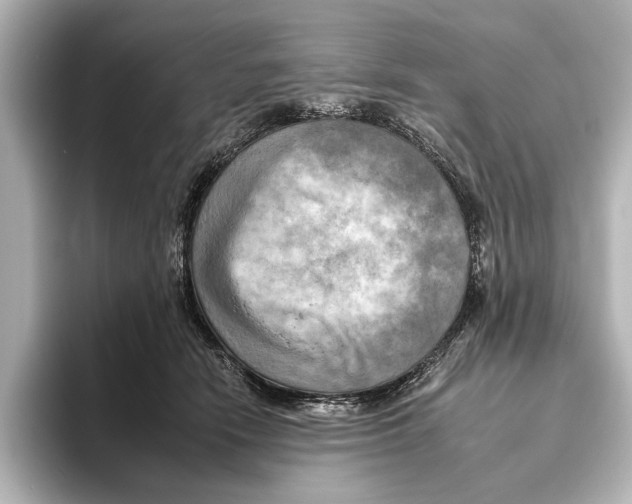 X0000095670466200802051234