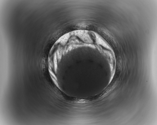 X0000095670467200802051234