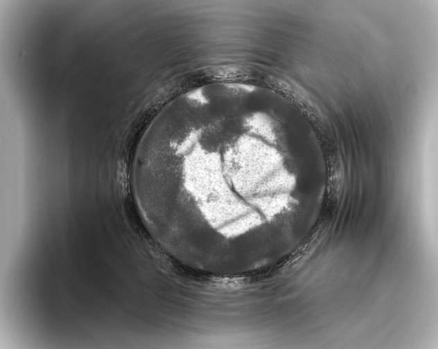 X0000095670469200802051234