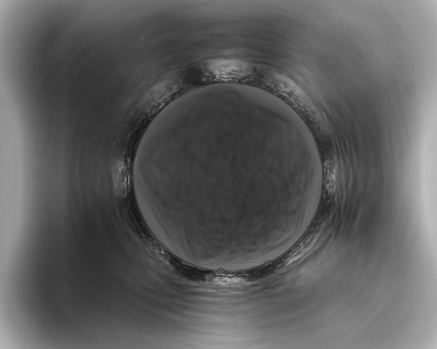 X0000095670471200802051234