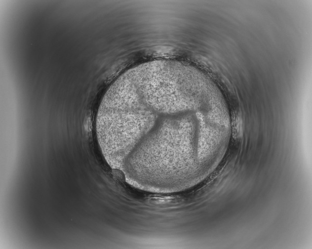 X0000095670472200802051234