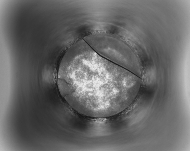 X0000095670474200802051234