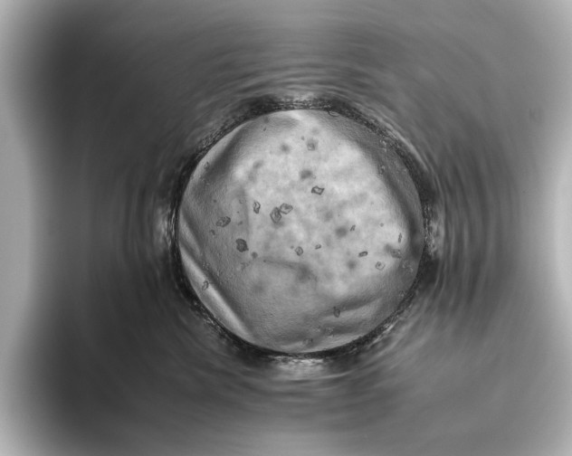 X0000095670476200802051234