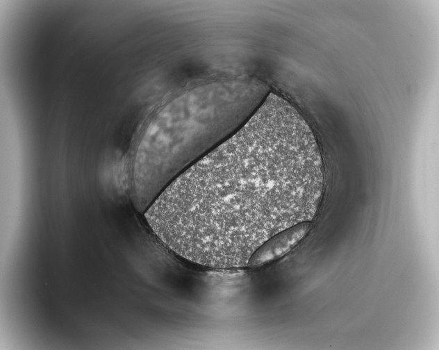 X0000095670480200802051234