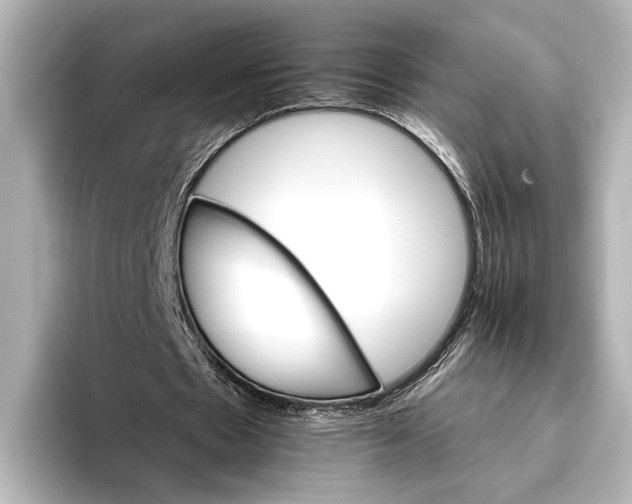 X0000095670481200802051233