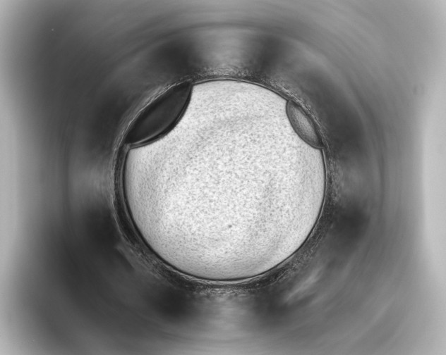 X0000095670482200802051233