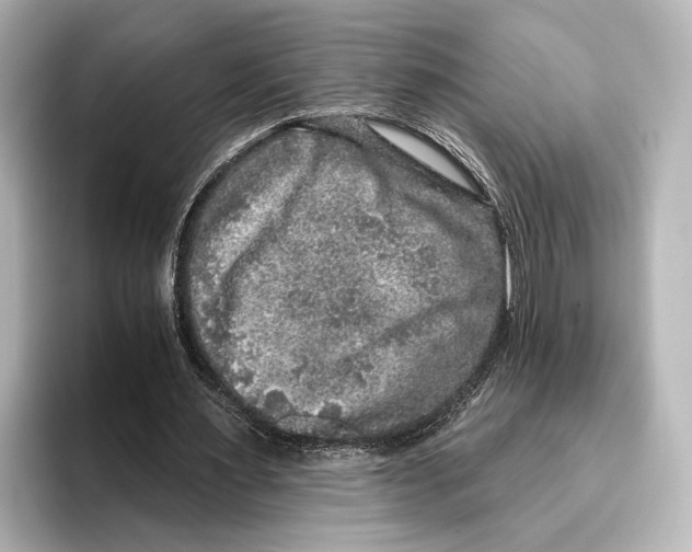 X0000095670483200802051233