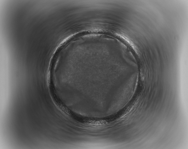 X0000095670488200802051233