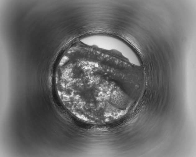 X0000095670491200802051233