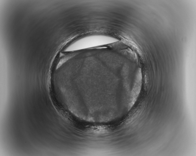 X0000095670492200802051233