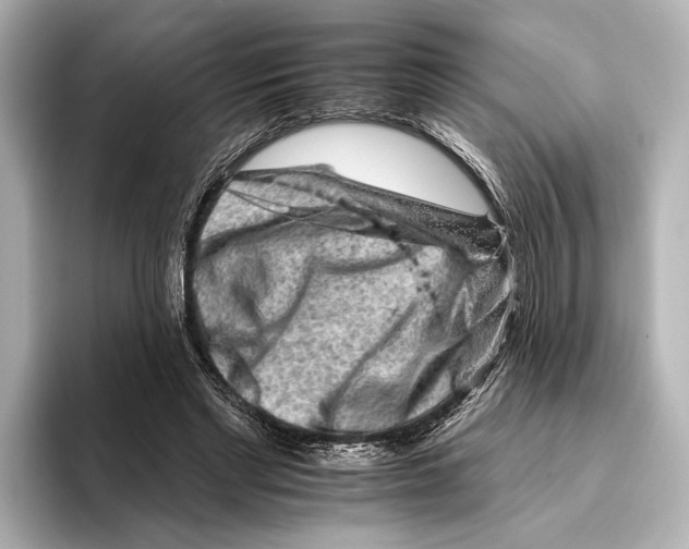 X0000095670493200802051233