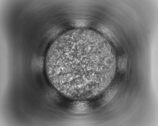 X0000095670495200802051233