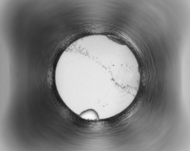 X0000095670497200802051233