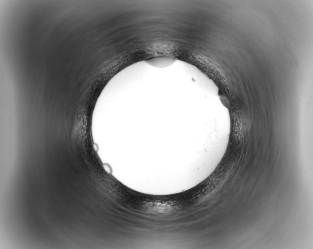 X0000095670498200802051233