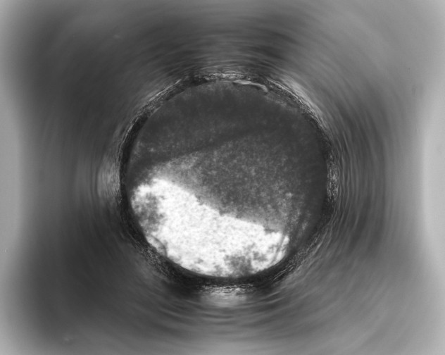 X0000095670500200802051233