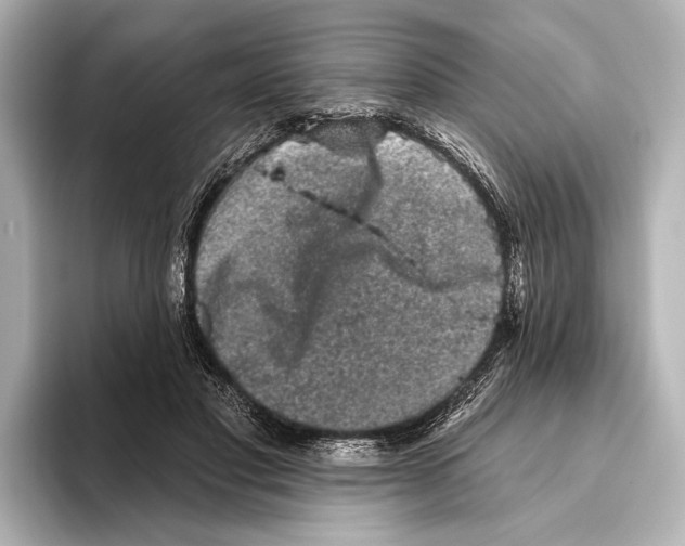 X0000095670501200802051233