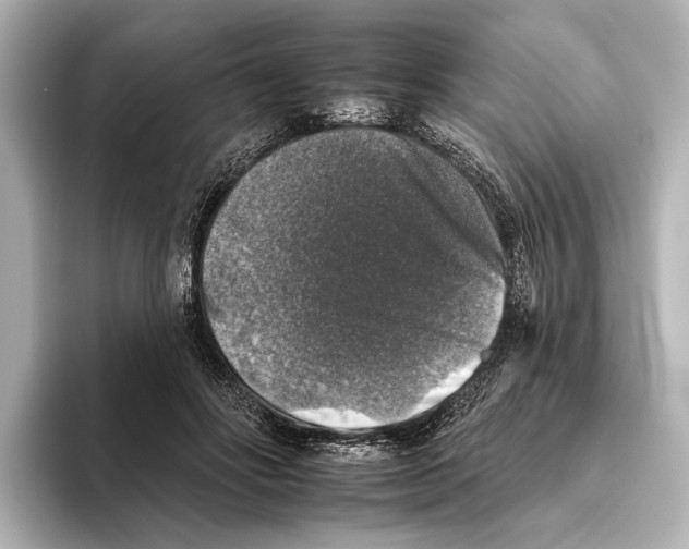 X0000095670502200802051233