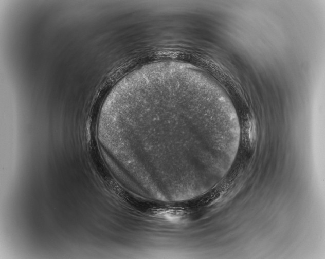 X0000095670504200802051233