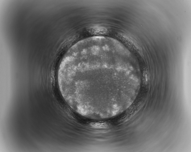 X0000095670506200802051233