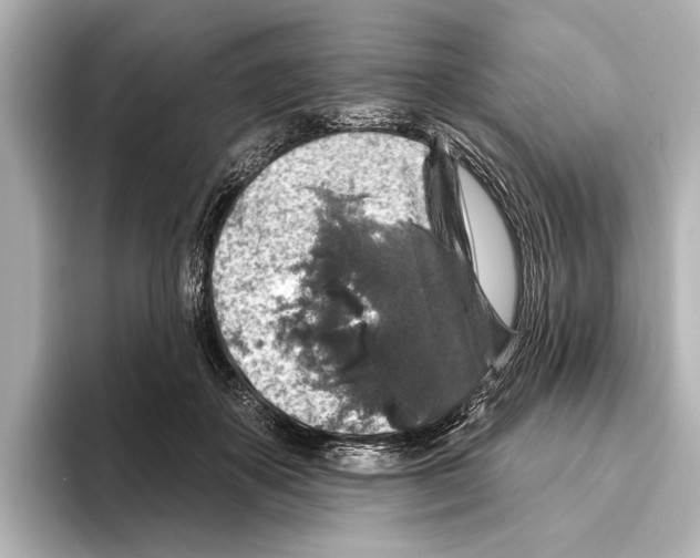 X0000095670507200802051233