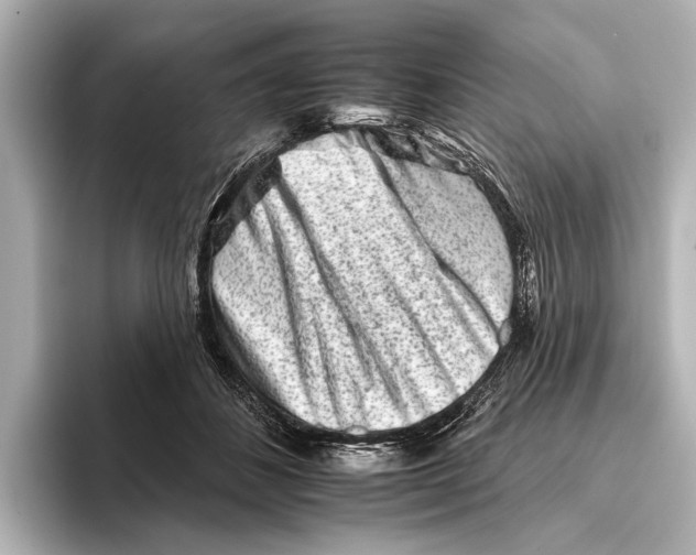 X0000095670508200802051233