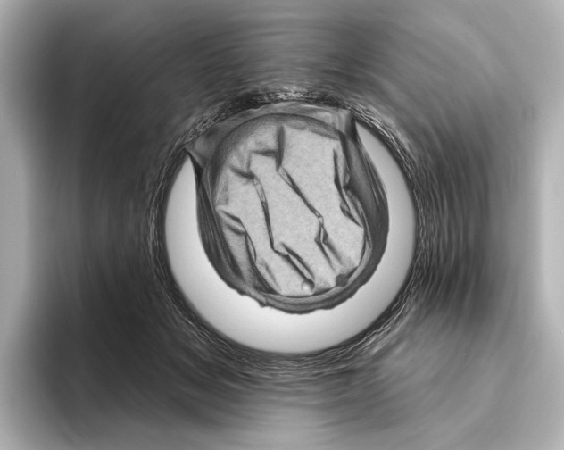 X0000095670509200802051233