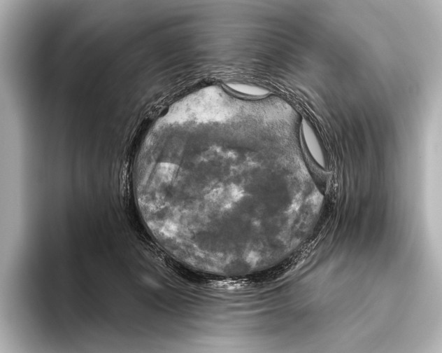 X0000095670511200802051233