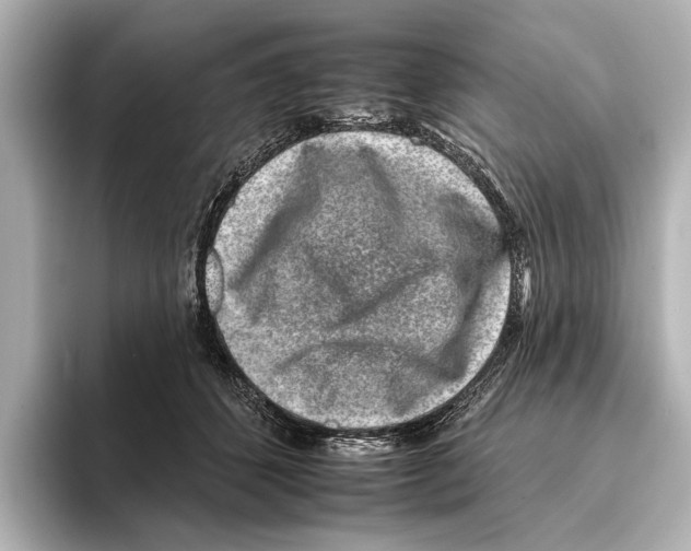 X0000095670512200802051233