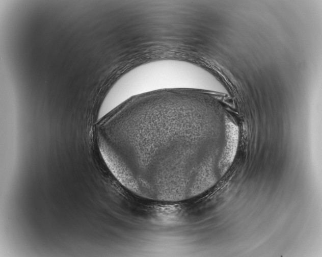 X0000095670513200802051233