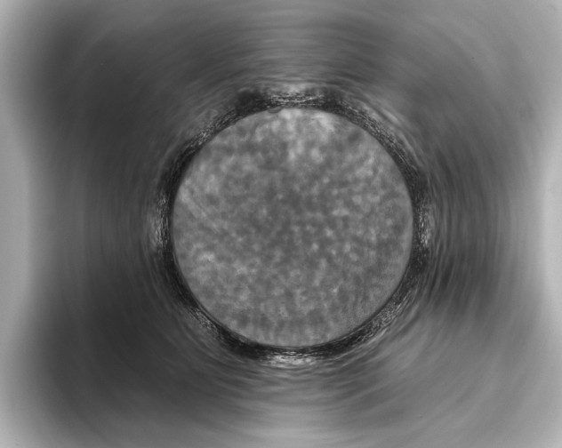 X0000095670515200802051233