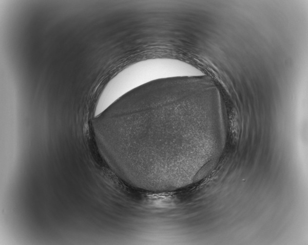 X0000095670516200802051233