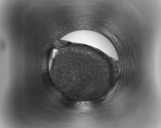 X0000095670517200802051233