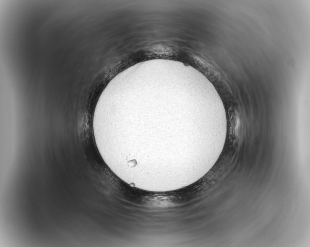 X0000095670518200802051233