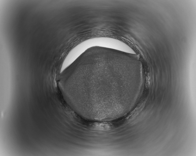 X0000095670520200802051233