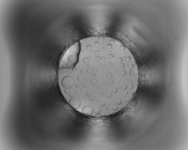 X0000095670523200802051233