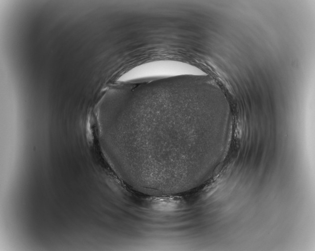 X0000095670524200802051233