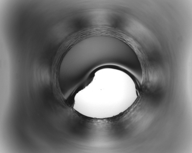 X0000095670525200802051233