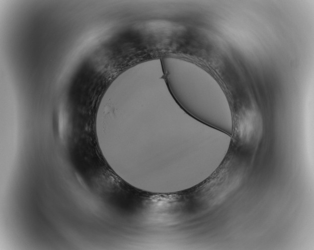 X0000095670526200802051233