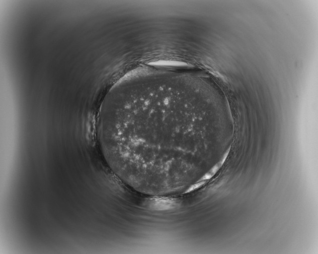 X0000095670528200802051233