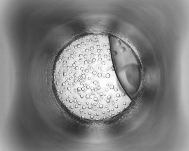 X0000095670529200802051232