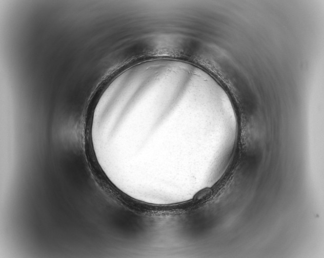 X0000095670530200802051232