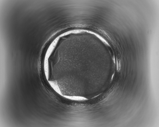 X0000095670531200802051232