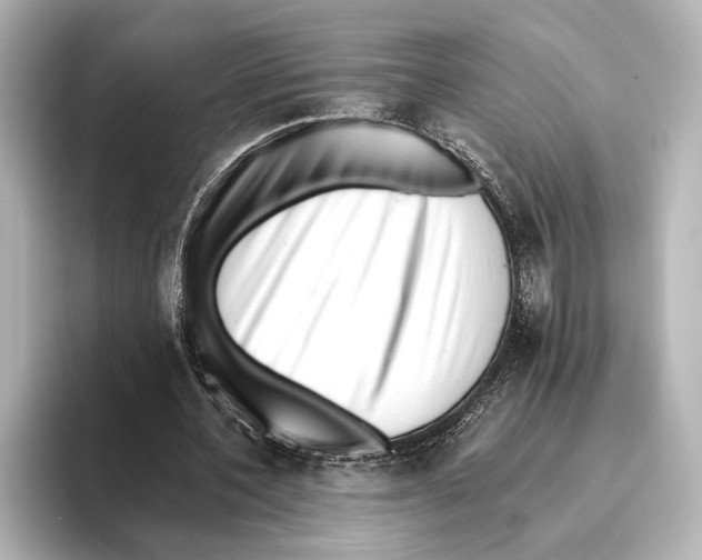 X0000095670532200802051232