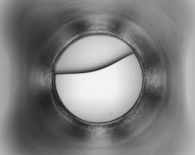 X0000095670533200802051232