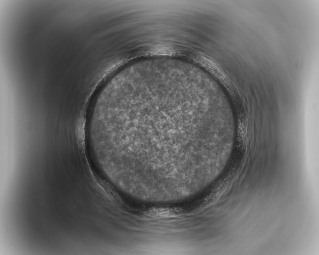 X0000095670534200802051232