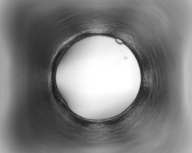 X0000095670535200802051232