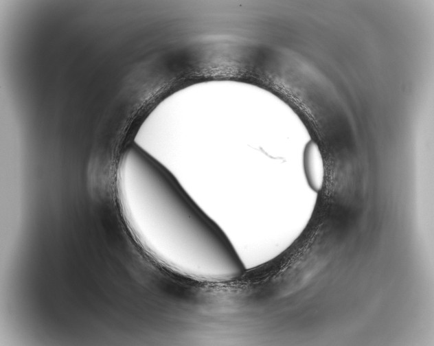 X0000095670538200802051232