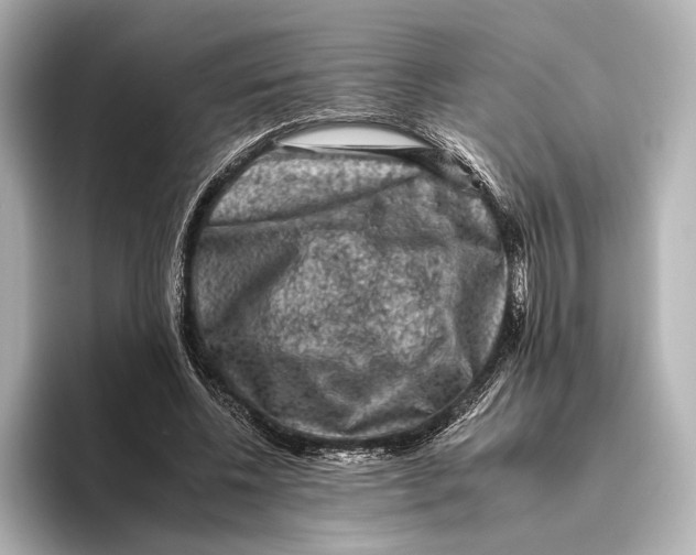 X0000095670540200802051232