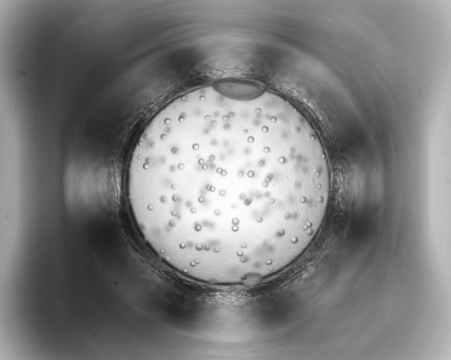 X0000095670541200802051232