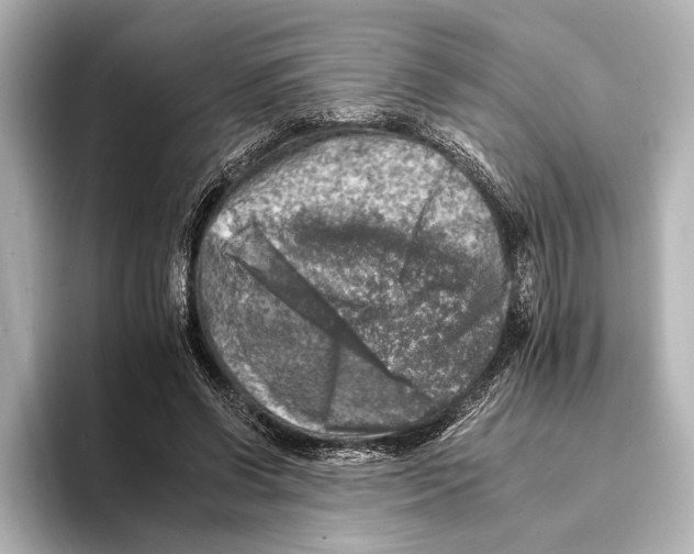 X0000095670542200802051232